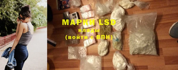 ПСИЛОЦИБИНОВЫЕ ГРИБЫ Медвежьегорск
