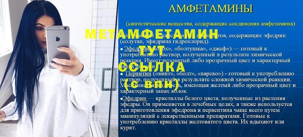 мдпв Туринск