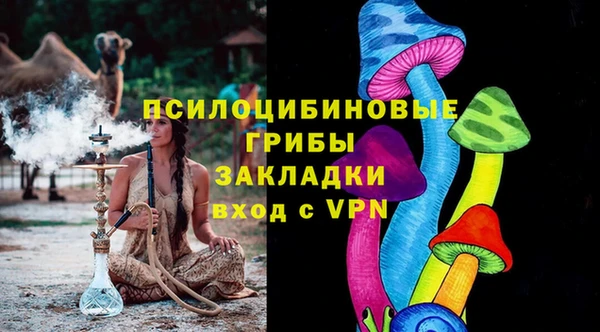 ПСИЛОЦИБИНОВЫЕ ГРИБЫ Медвежьегорск