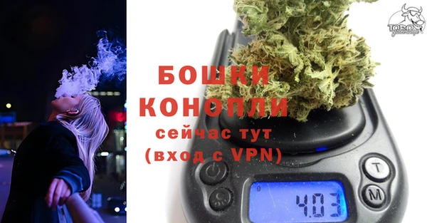 ПСИЛОЦИБИНОВЫЕ ГРИБЫ Медвежьегорск