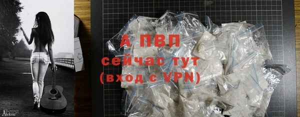 гашик Медногорск