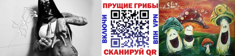 Псилоцибиновые грибы прущие грибы  Вологда 