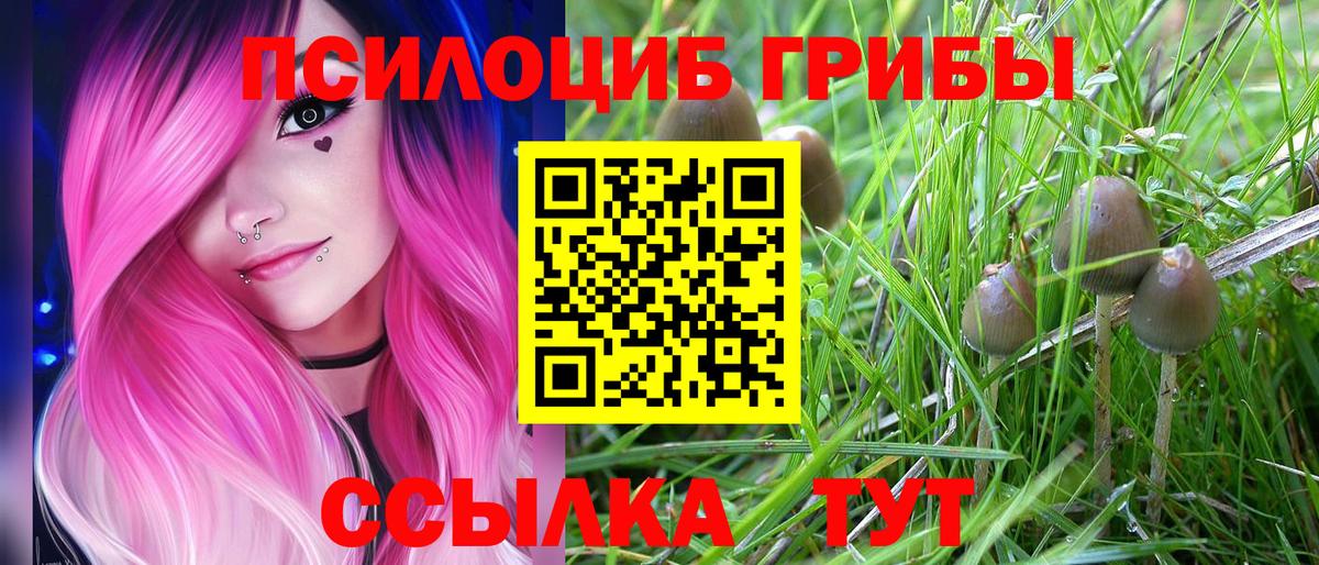 Вологда  Псилоцибиновые грибы GOLDEN TEACHER  Галлюциногенные грибы Cubensis  Вход с VPN 